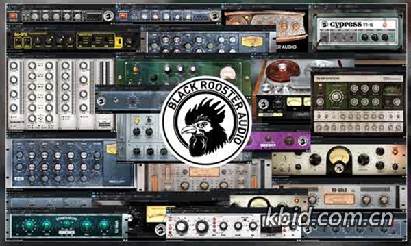 黑公鸡（Black Rooster Audio）套装合集混音插件，唤醒经典模拟之声，重塑经典之声的传奇效果器