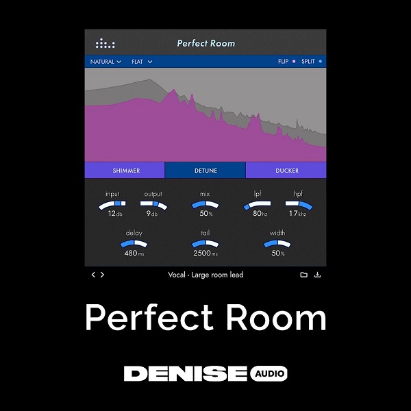 数字混响效果器插件 Denise Perfect Room 房间回响延迟,模拟真实\自然\房间混响声学环境，混音适用鼓组\人声\吉他\母带\总线逼真的空间音效处理