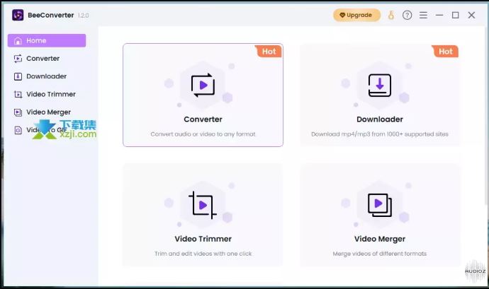 音视频转换 AmoyShare BeeConverter Pro v1.6.0 同时转换多个文件，为特定设备转换视频，处理多种音频和视频格式