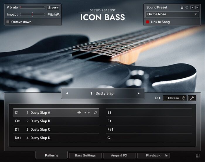 虚拟贝斯乐器插件 Native Instruments Session Bassist Icon Bass 精心采样的真实贝斯音色和智能演奏引擎，收录经曲音色，指弹\滑音\击勾弦演奏技巧