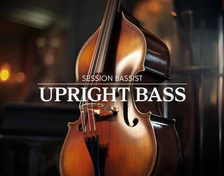 低音提琴 Native Instruments Session Bassist Upright Bass 虚拟乐器插件,多种可演奏模式和乐句,适合当代流派,预设贝斯声线,复古黑胶唱片质感