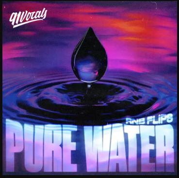 91Vocals Pure Water RnB Flips WAV 采样包 素材loop