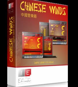 中国巴乌传统乐器 Ilya Efimov Bawu 虚拟音源