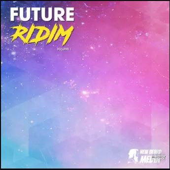 New Beard Media Future Ridim Vol.1 WAV 电音合成器采样包 素材loop